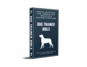 Dog Trainer Bible